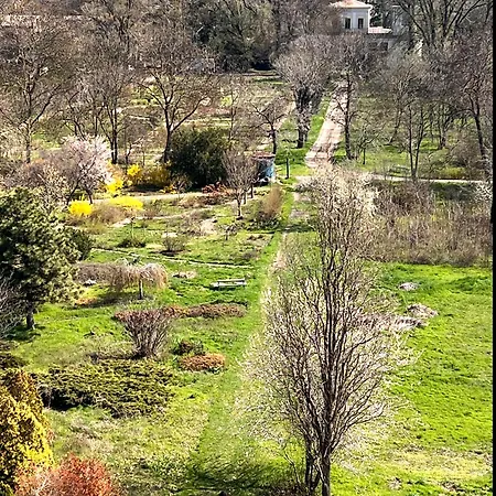 Garden View Apartment