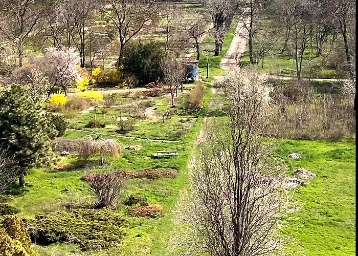 Garden View Apartment